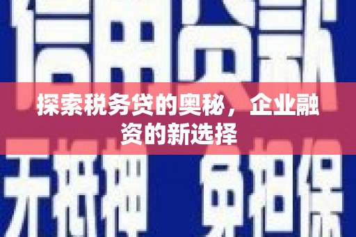 施甸探索税务贷的奥秘，企业融资的新选择