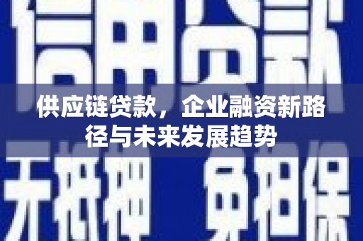施甸供应链贷款，企业融资新路径与未来发展趋势