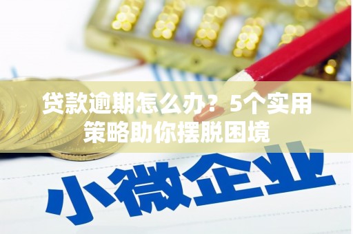 施甸贷款逾期怎么办？5个实用策略助你摆脱困境