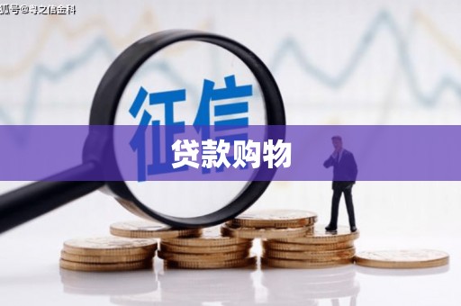 施甸贷款购物