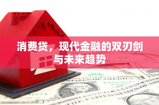 施甸消费贷，现代金融的双刃剑与未来趋势