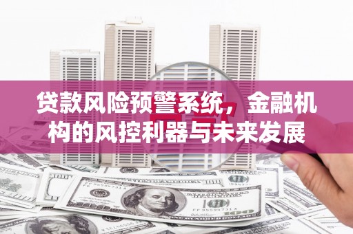 施甸贷款风险预警系统，金融机构的风控利器与未来发展