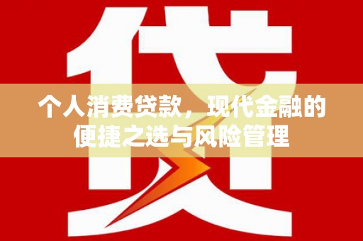 施甸个人消费贷款，现代金融的便捷之选与风险管理