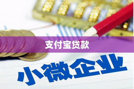 施甸支付宝贷款