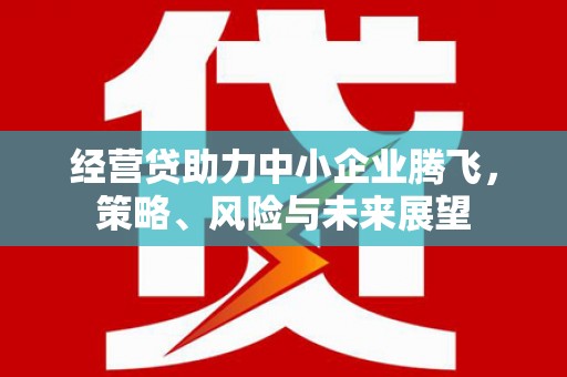 施甸经营贷助力中小企业腾飞，策略、风险与未来展望