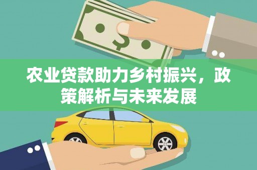施甸农业贷款助力乡村振兴，政策解析与未来发展
