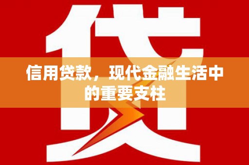 施甸信用贷款，现代金融生活中的重要支柱