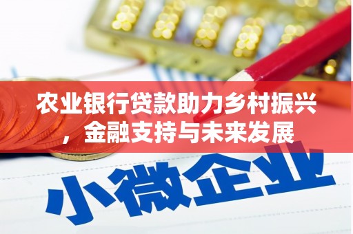 施甸农业银行贷款助力乡村振兴，金融支持与未来发展