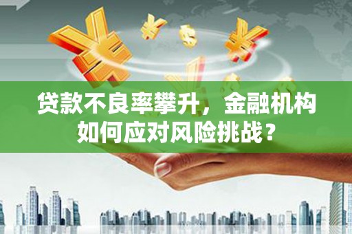 施甸贷款不良率攀升，金融机构如何应对风险挑战？