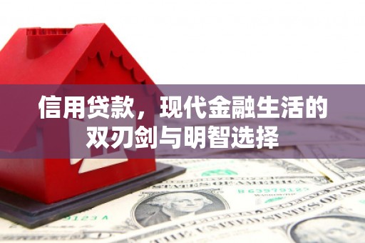 施甸信用贷款，现代金融生活的双刃剑与明智选择