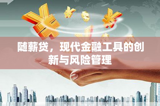 施甸随薪贷，现代金融工具的创新与风险管理
