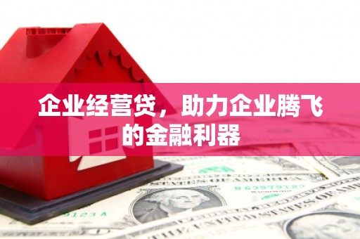 施甸企业经营贷，助力企业腾飞的金融利器