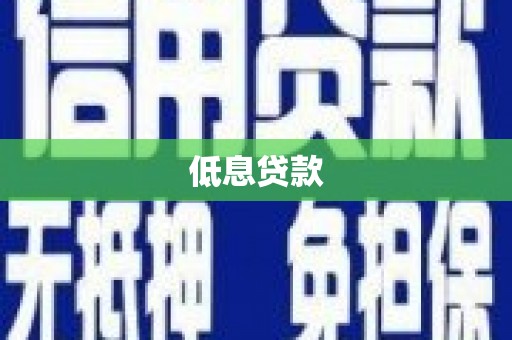 施甸低息贷款