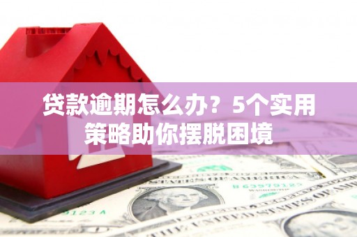 施甸贷款逾期怎么办？5个实用策略助你摆脱困境