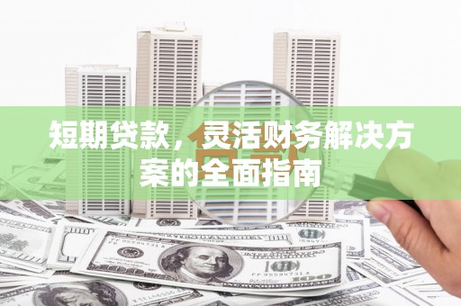 施甸短期贷款，灵活财务解决方案的全面指南