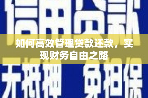 施甸如何高效管理贷款还款，实现财务自由之路