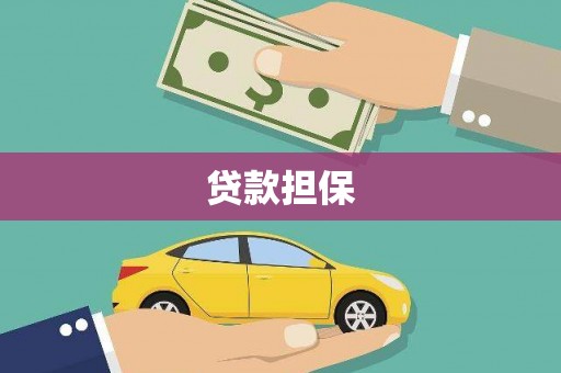 施甸贷款担保
