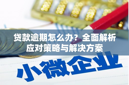 施甸贷款逾期怎么办？全面解析应对策略与解决方案