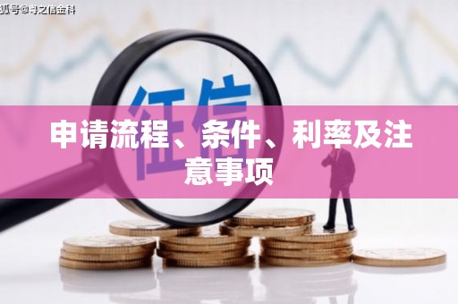 施甸申请流程、条件、利率及注意事项