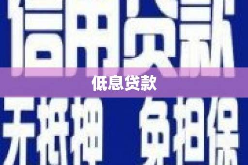 施甸低息贷款