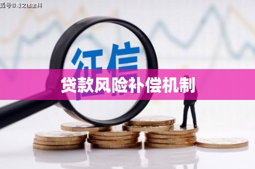 施甸贷款风险补偿机制
