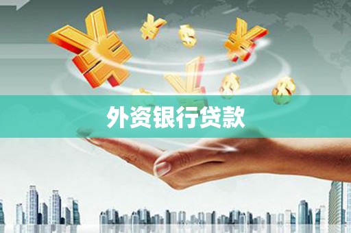 施甸外资银行贷款
