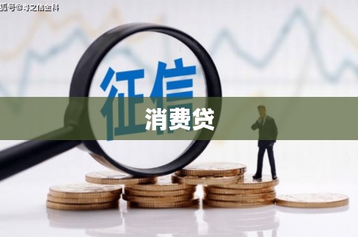 施甸消费贷