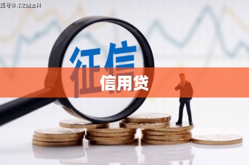 施甸信用贷