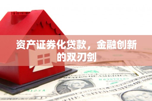 施甸资产证券化贷款，金融创新的双刃剑