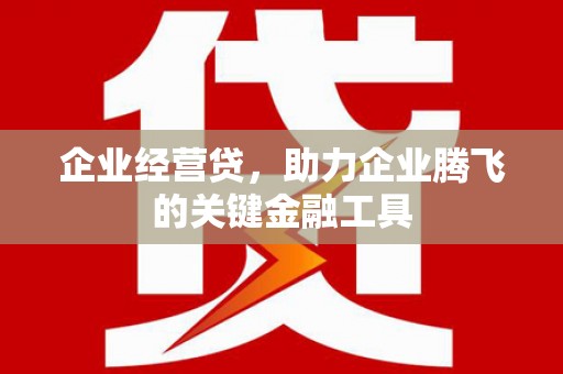 施甸企业经营贷，助力企业腾飞的关键金融工具