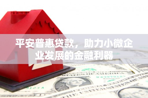 施甸平安普惠贷款，助力小微企业发展的金融利器