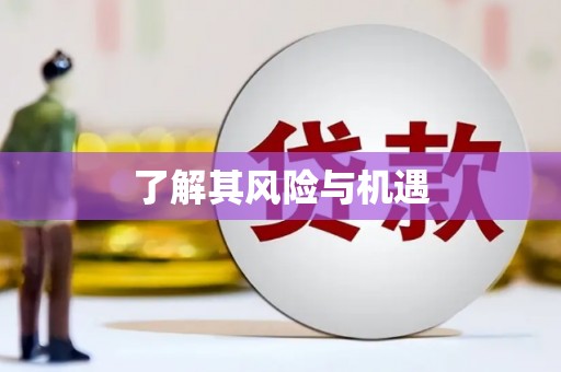 施甸了解其风险与机遇