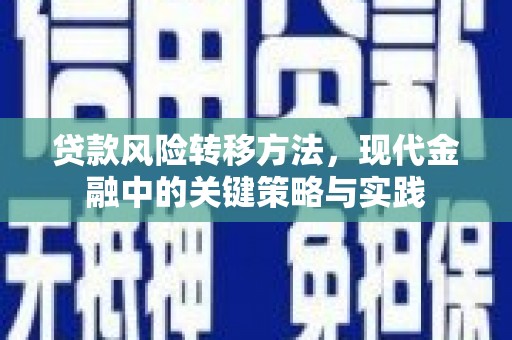 施甸贷款风险转移方法，现代金融中的关键策略与实践