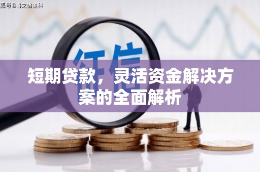 施甸短期贷款，灵活资金解决方案的全面解析