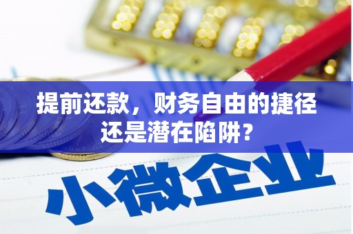 施甸提前还款，财务自由的捷径还是潜在陷阱？