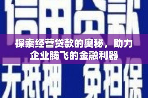 施甸探索经营贷款的奥秘，助力企业腾飞的金融利器