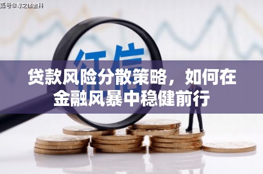 施甸贷款风险分散策略，如何在金融风暴中稳健前行