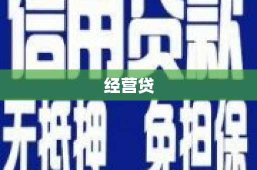 施甸经营贷