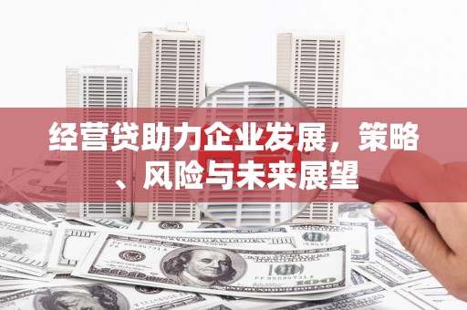 施甸经营贷助力企业发展，策略、风险与未来展望