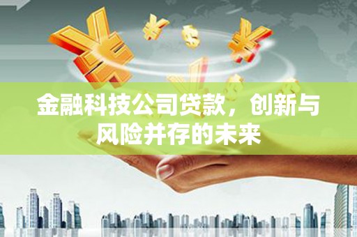 施甸金融科技公司贷款，创新与风险并存的未来