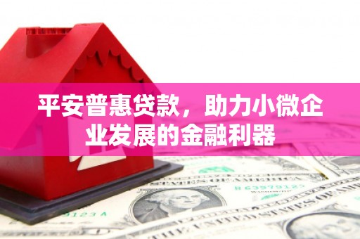 施甸平安普惠贷款，助力小微企业发展的金融利器
