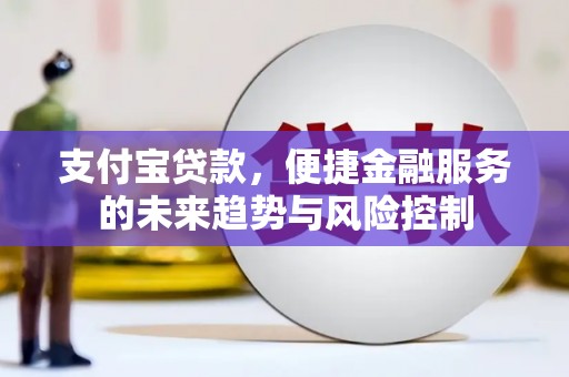 施甸支付宝贷款，便捷金融服务的未来趋势与风险控制