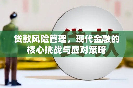 施甸贷款风险管理，现代金融的核心挑战与应对策略