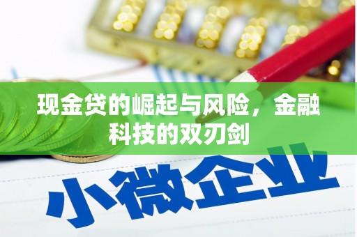 施甸现金贷的崛起与风险，金融科技的双刃剑