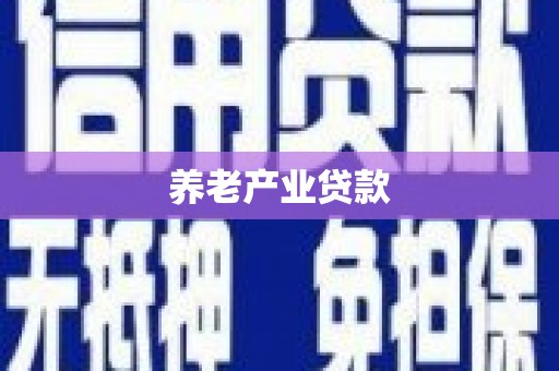 施甸养老产业贷款