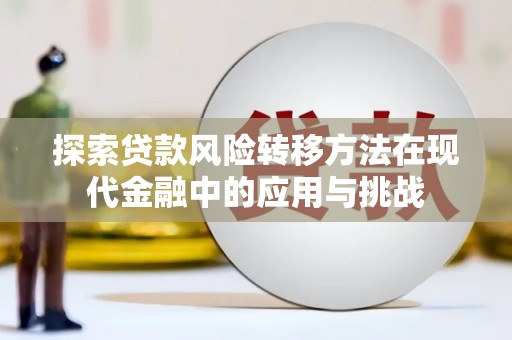 施甸探索贷款风险转移方法在现代金融中的应用与挑战
