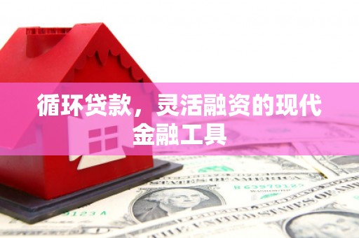 施甸循环贷款，灵活融资的现代金融工具
