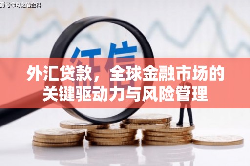 施甸外汇贷款，全球金融市场的关键驱动力与风险管理