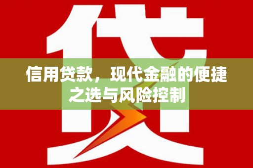 施甸信用贷款，现代金融的便捷之选与风险控制