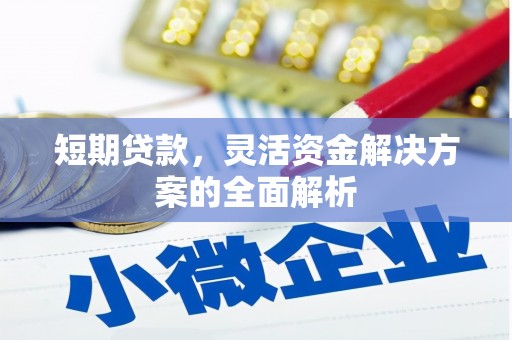 施甸短期贷款，灵活资金解决方案的全面解析